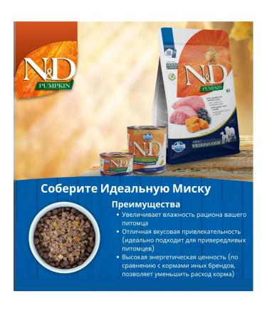 Farmina Dry food for puppies of medium and large breeds lamb 2.5 kg - Buy Online on GoSupps.com