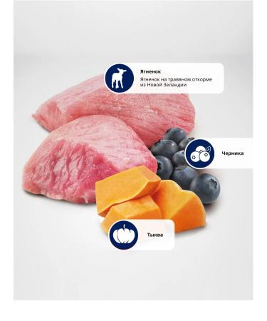 Farmina Dry food for puppies of medium and large breeds lamb 2.5 kg - Buy Online on GoSupps.com