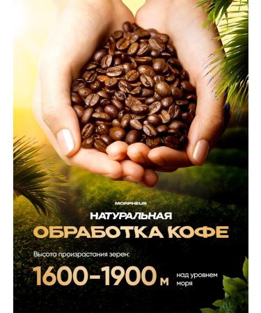 Morpheus Coffee in Arabica grains - Buy Online on GoSupps.com
