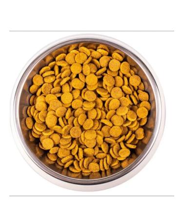 MONGE Cat Special Lin Monoprotein d steril. cats duck 10 kg - Buy Online on GoSupps.com