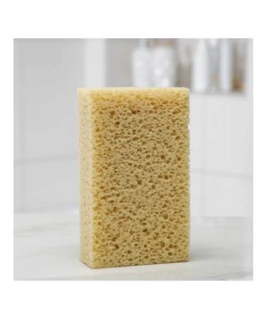 Miner's Soft sea sponge for body 20x11.5 cm - Buy Online on GoSupps.com