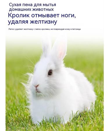 Dry shampoo for animals for washing paws 200 ml - Buy Online on GoSupps.com
