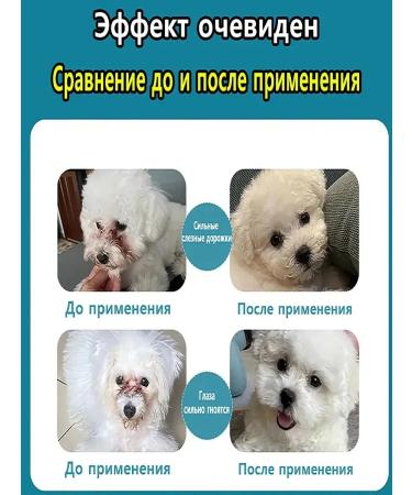 Eye drops for dogs from lacrimal paths and pus 20 ml - Buy Online on GoSupps.com