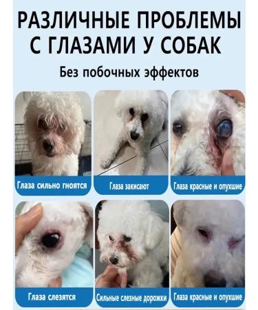 Eye drops for dogs from lacrimal paths and pus 20 ml - Buy Online on GoSupps.com