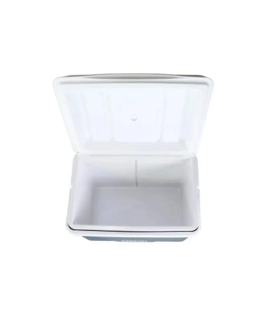 Thermocontiner for food and drinks Pereval 22 liters of isothermic - Buy Online on GoSupps.com