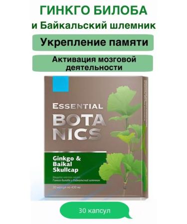 Siberian Wellness Ginkgo biloba and the Baikal helmet strengthening memory