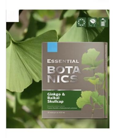 Siberian Wellness Ginkgo biloba and the Baikal helmet strengthening memory - Buy Online on GoSupps.com