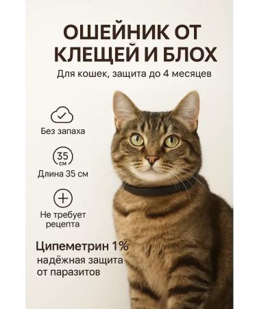 BAYBOLOM A collar for a cat Anti -scorching ticks without smell