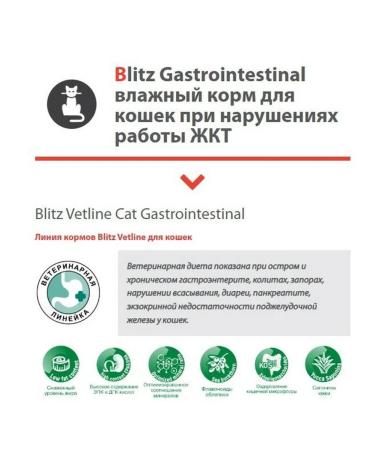 Blitz Vetline GastroinTestinal at the gastrointestinal tract 16 x 100 g - Buy Online on GoSupps.com