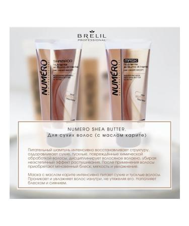 BRELIL PROFESSIONAL Shampoo with oil for dry hair 1000ml - Buy Online on GoSupps.com