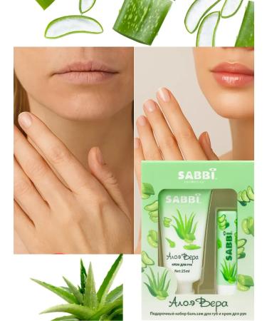 ZRN A set of lip balm and hand Cream for Hands Aloe Vera - Buy Online on GoSupps.com
