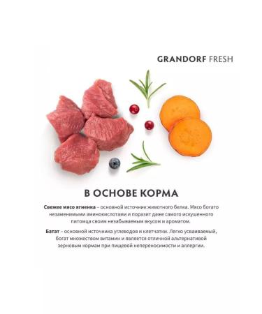 Grandorf Fresh Dog Adult Med & Maxi Salmon & Sweet Potato 10 kg - Buy Online on GoSupps.com