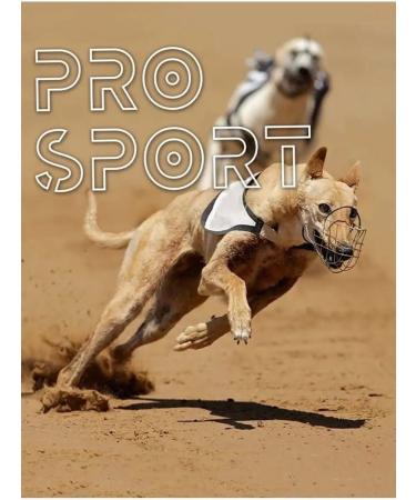 Green QZin Greenqzin dog treats speed duck in the Beijing - Buy Online on GoSupps.com