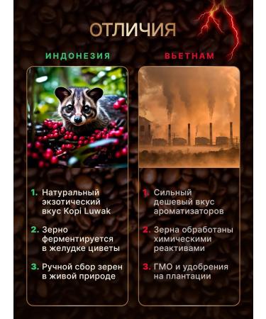Kaya Kopi Luwak Coffee Luvak in grains (cop Luvak) 200g Indonesia wild collection - Buy Online on GoSupps.com