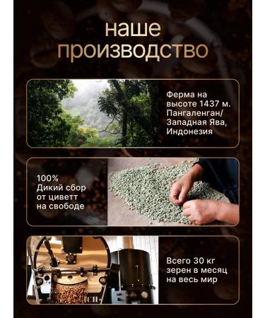 Kaya Kopi Luwak Coffee Luvak in grains (cop Luvak) 200g Indonesia wild collection - Buy Online on GoSupps.com