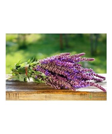 The Ural Nature Reserve Sage dried grass - Buy Online on GoSupps.com