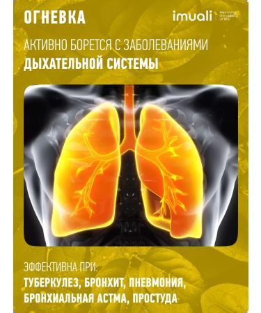 imuali Bee -flair for lungs and heart health - Buy Online on GoSupps.com