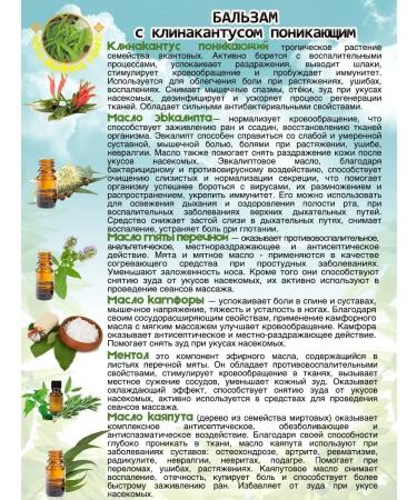 Rasyan Thai green warming balm Salet Pang 50 g - Buy Online on GoSupps.com