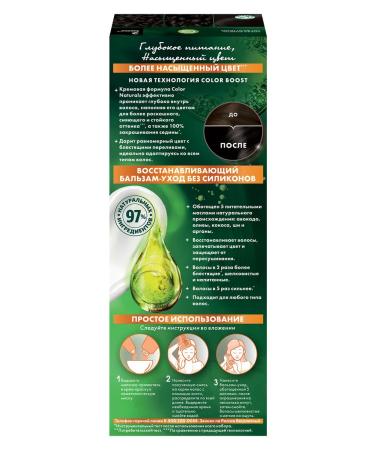 Garnier Persistent hair cream Color Naturals 2 - Buy Online on GoSupps.com