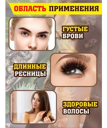 Mendeleev Castor castor Indian castor 1000 ml - Buy Online on GoSupps.com