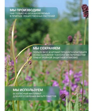 Altai cedar Phytochai Altai 21 Pancreatitis 20 p a 2 g - Buy Online on GoSupps.com