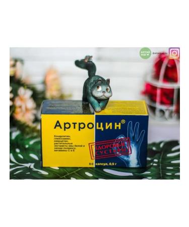 Arthrocin 60 capsules