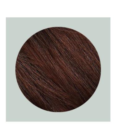 Tints of Nature 4ch gel painting saturated brown-haired - Buy Online on GoSupps.com