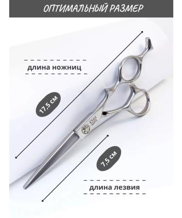 Cussi Hairdressers of professional professional 6 - Buy Online on GoSupps.com