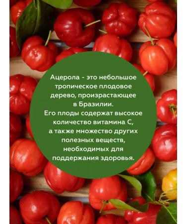 Saint Bernhard Acurola in immunity capsules 496 mg 300 pcs - Buy Online on GoSupps.com