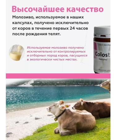 Saint Bernhard Colostrum is colostrum to maintain immunity 90 pcs - Buy Online on GoSupps.com