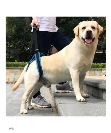 Help for dogs rear support - Buy Online on GoSupps.com