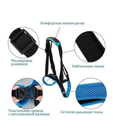 Help for dogs rear support - Buy Online on GoSupps.com