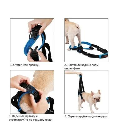 Help for dogs rear support - Buy Online on GoSupps.com