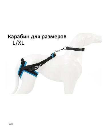 Help for dogs rear support - Buy Online on GoSupps.com
