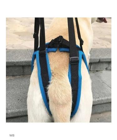 Help for dogs rear support - Buy Online on GoSupps.com
