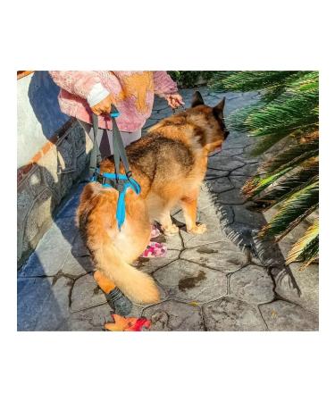 Help for dogs rear support - Buy Online on GoSupps.com