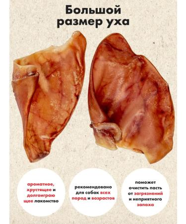 GRIZGO Pork ears 2pcs long -playing treat - Buy Online on GoSupps.com