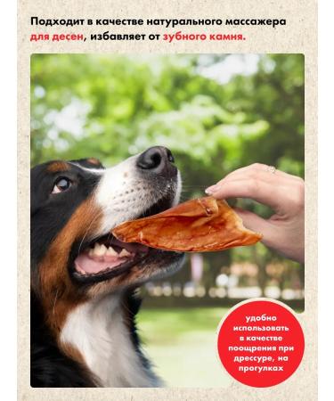 GRIZGO Ears of pork long -playing treats - Buy Online on GoSupps.com