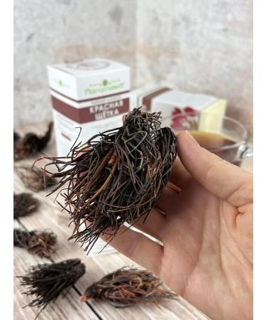 Marislavna Phytochi "red brush" adaptogen for women - Buy Online on GoSupps.com