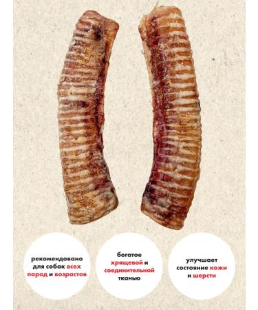GRIZGO Wholesale trachea of beef XL 2000 grams - Buy Online on GoSupps.com