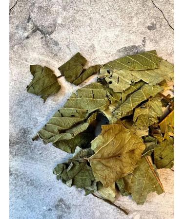 Africa Natural Leaves of the tropical apple tree Guava tea 35g - Buy Online on GoSupps.com