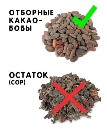 Healthy Family from A to Z Cocoa Bobs are whole unanimated foraster variety 200 g - Buy Online on GoSupps.com