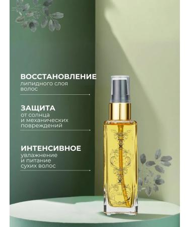 Salerm Cosmetics Infutable argan oil for Salem hair care - Buy Online on GoSupps.com
