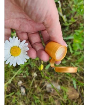 DNC 3pcs wax strengthens polishing nails - Buy Online on GoSupps.com