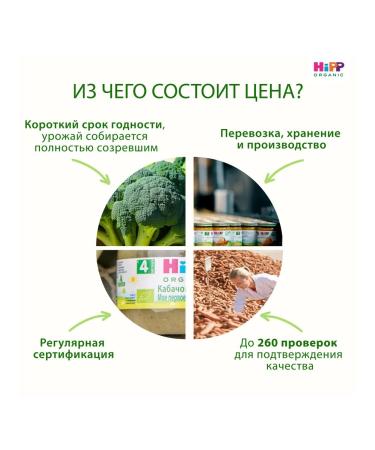 Hipp vegetable puree "Vegetable Assortment" 100g (6pcs) - Buy Online on GoSupps.com