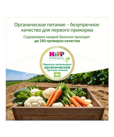 Hipp vegetable puree "Vegetable Assortment" 100g (6pcs) - Buy Online on GoSupps.com