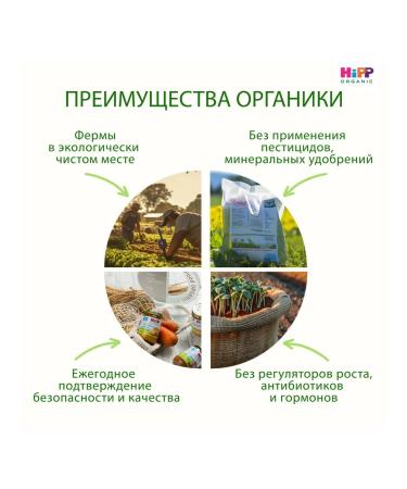 Hipp vegetable puree "Vegetable Assortment" 100g (6pcs) - Buy Online on GoSupps.com