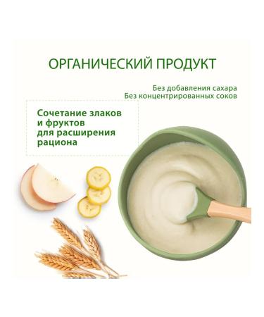 Hipp Porridge "Fruit Yogurt" Milk from 6 months 2x250g - Buy Online on GoSupps.com