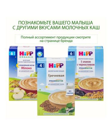 Hipp Porridge "Fruit Yogurt" Milk from 6 months 2x250g - Buy Online on GoSupps.com