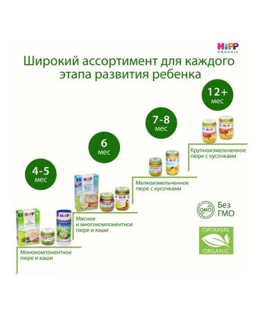 Hipp Porridge "Fruit Yogurt" Milk from 6 months 2x250g - Buy Online on GoSupps.com